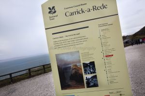 c14-carrick a rede 1.jpg